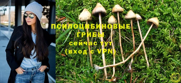 МДПВ Бугульма